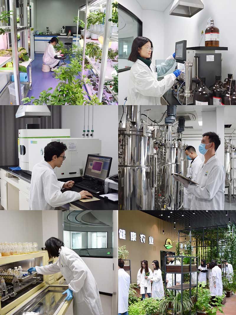 “全國科技工作者日”：推動(dòng)農(nóng)業(yè)綠色高質(zhì)量發(fā)展，新朝陽科研人在路上